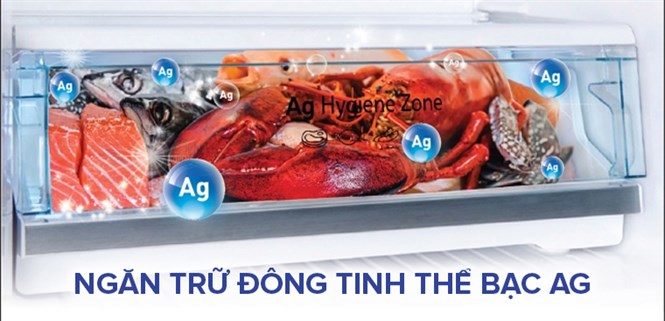 Lợi ích ngăn trữ đông tinh thể bạc độc quyền trên tủ lạnh Panasonic